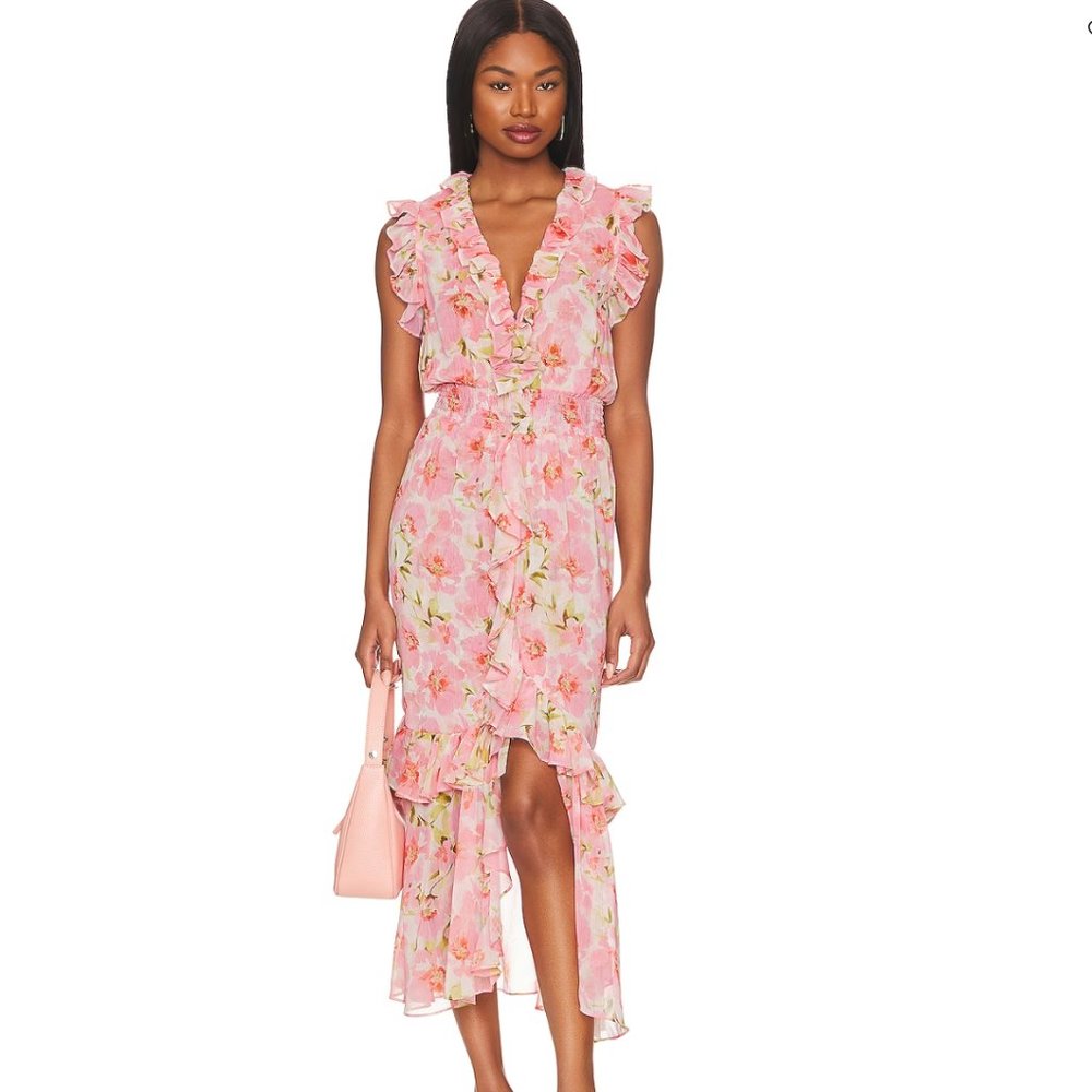 NWT MISA Los Angeles Kidada Dress (S)